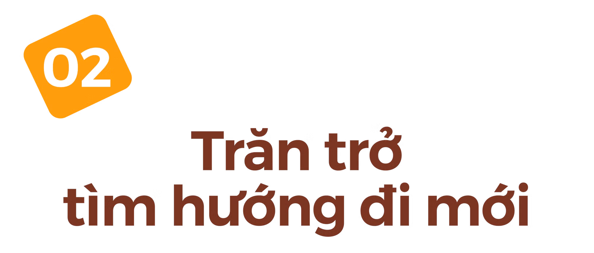 Ảnh trong văn bản