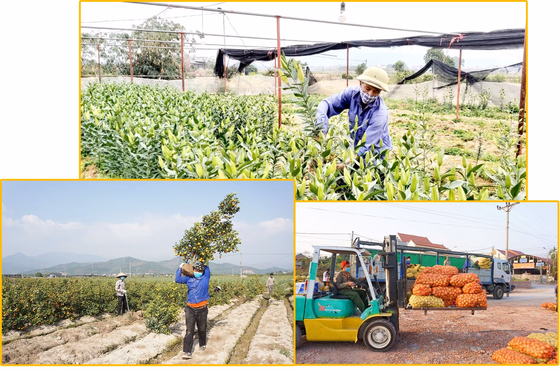Trong điều kiện dịch bệnh, Quảng Ninh triển khai nhiều biện pháp hiệu quả hỗ trợ tiêu thụ nông sản cho người dân trong tỉnh.