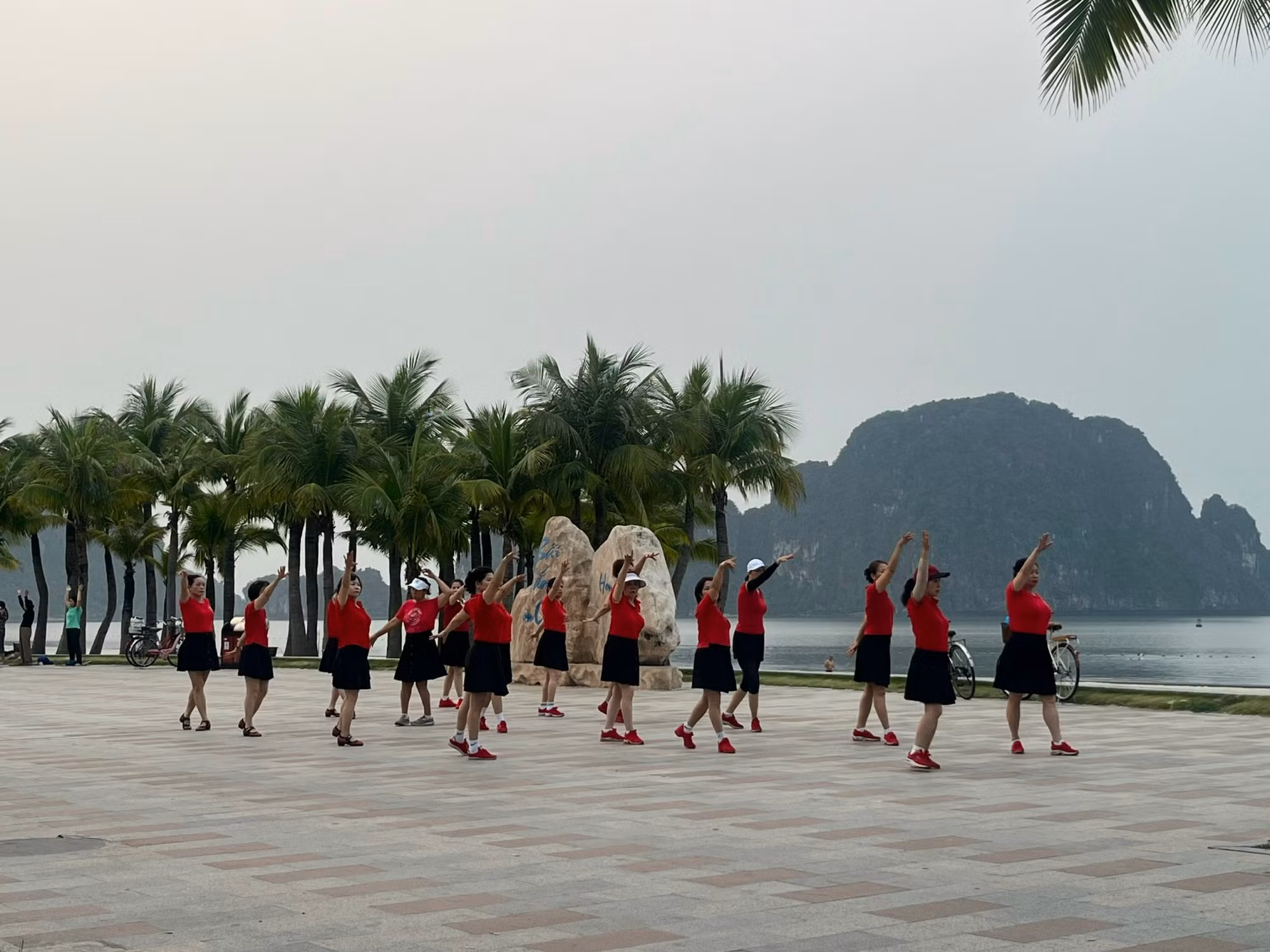 Ảnh với chú thích