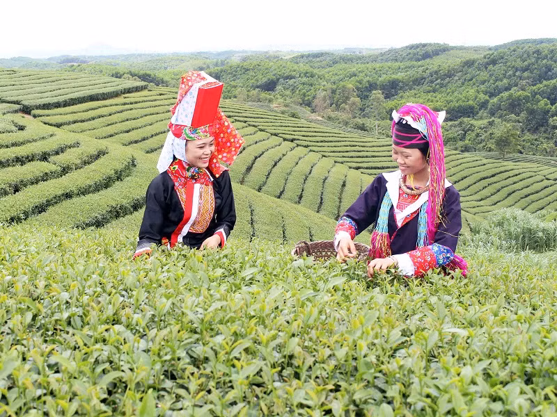 Ảnh trong văn bản