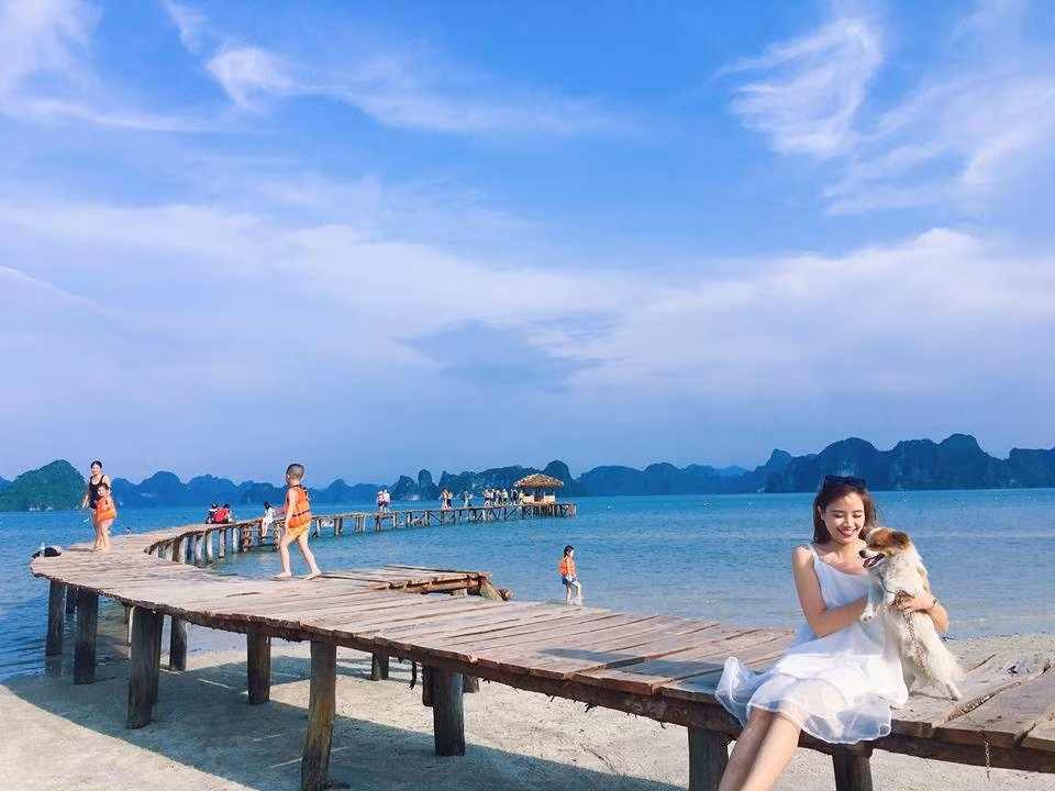 Ảnh trong văn bản