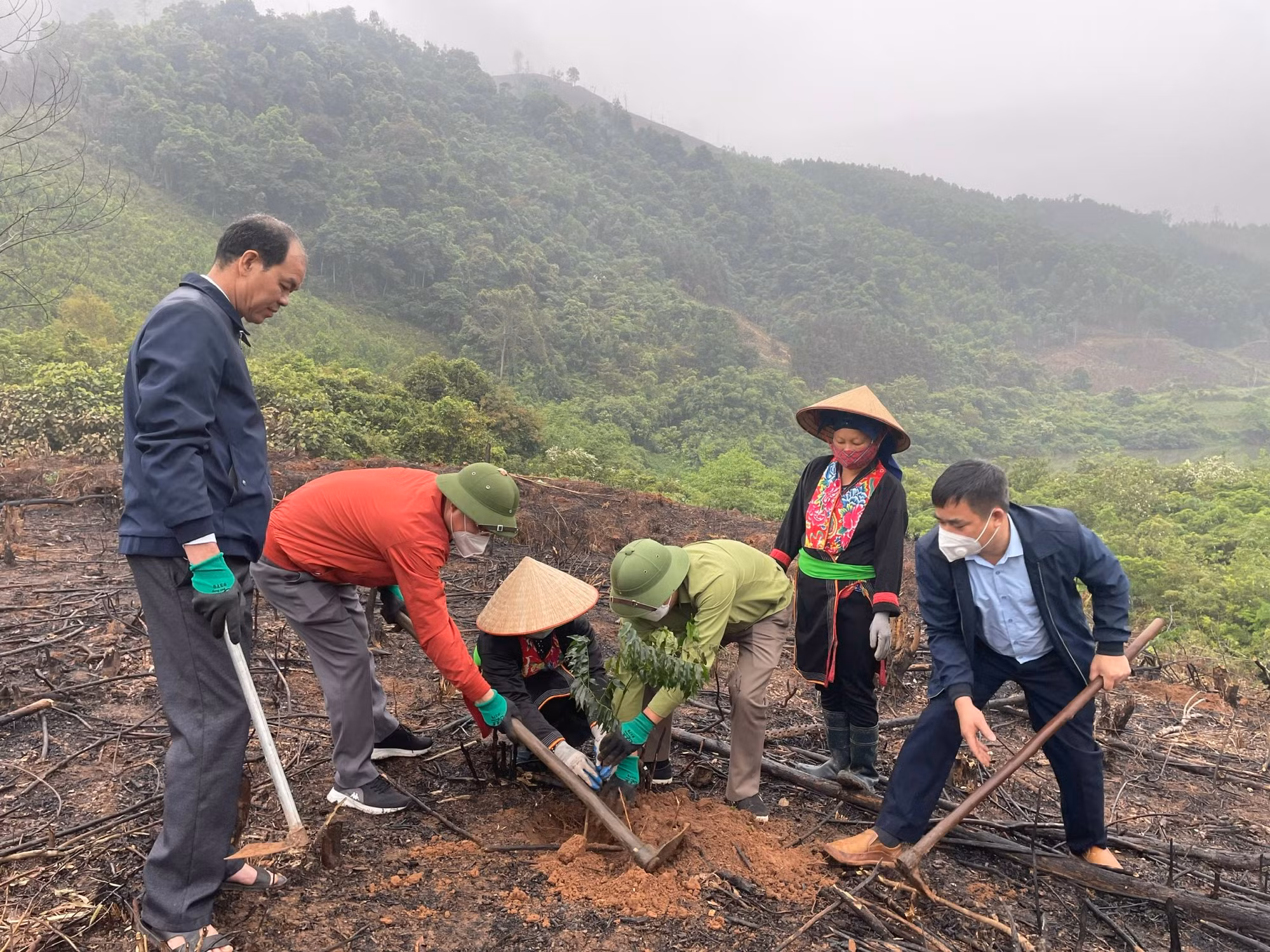 Ảnh trong văn bản