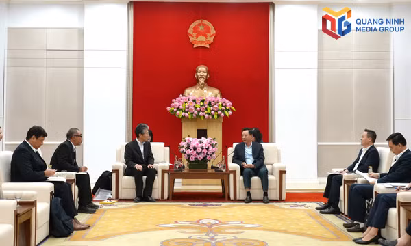 Lãnh đạo thành phố Quảng Ninh tiếp xã giao lãnh đạo Công ty Shin-Etsu Việt Nam