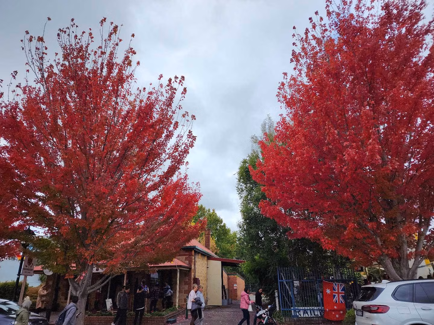Adelaide, thủ phủ và thành phố lớn nhất bang Nam Úc, là một trong những địa điểm ngắm lá chuyển màu đẹp ở “xứ sở kangaroo”. Ảnh: Đỗ Trọng Tuyên