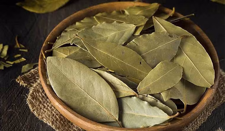 Lá nguyệt quế tỏa ra mùi hương nhẹ nhàng, dễ chịu, có tác dụng giải tỏa mệt mỏi, căng thẳng,... Loại lá này còn được sử dụng làm gia vị chế biến (Ảnh: IT)