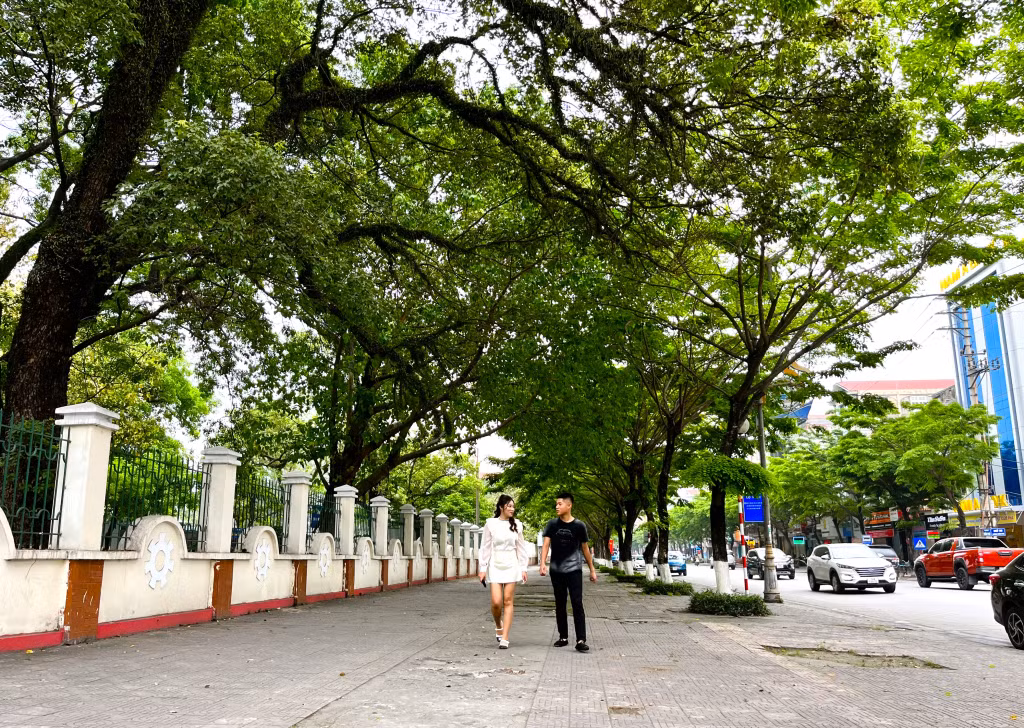 Thành phố mỏ ngày càng xanh mát, phong quang, sạch đẹp.