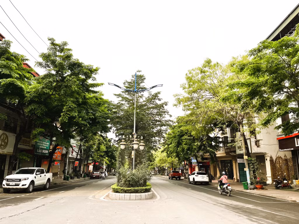 Ngoài cây xanh trồng trên vỉa hè, dải ngăn cách ở đường Bái Tử Long còn được trồng thêm cây bóng mát và hoa hồng, khiến con đường nhuộm màu xanh mát.