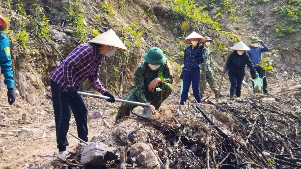 Cán bộ, nhân dân xã Dân Chủ (TP Hạ Long) tham gia trồng rừng gỗ lớn (Ảnh: Trần Khánh - Trung tâm TT và VH TP Hạ Long)