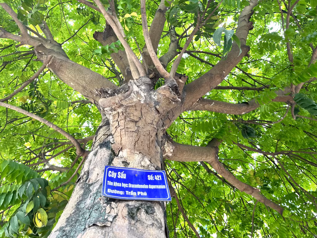 Mỗi cây đều được treo biển tên, tên khoa học của cây...