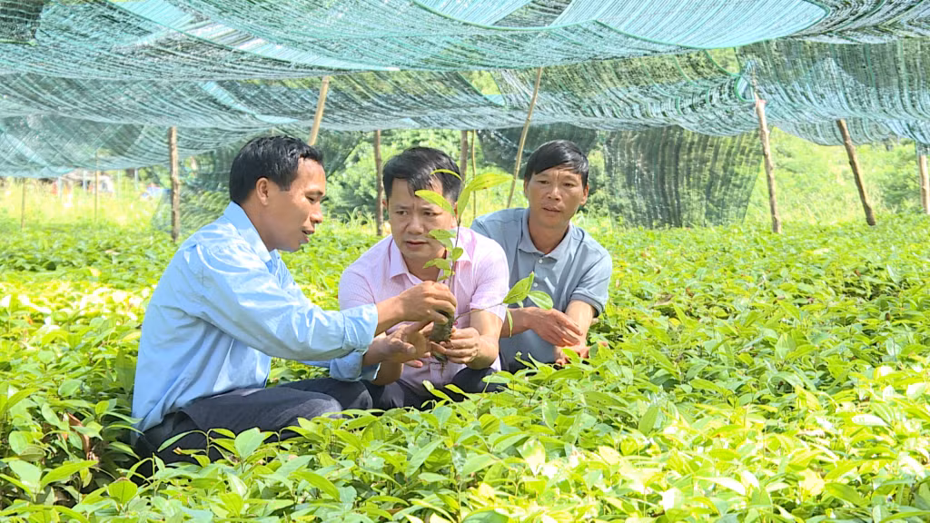 Quảng Ninh có nhiều chính sách đi trước, vượt trội trong thực hiện nâng cao chất lượng đời sống nhân dân. Ảnh: Hoàng Giang.