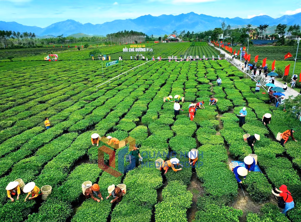 Du khách đến tham quan, trải nghiệm và khám phá sản phẩm trà OCOP tại Đường Hoa (8-2026). Ảnh: Thu Uyên