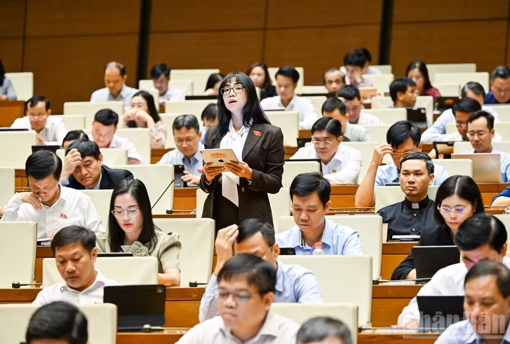 Đại biểu Quốc hội Trịnh Thị Tú Anh. (Ảnh: DUY LINH)