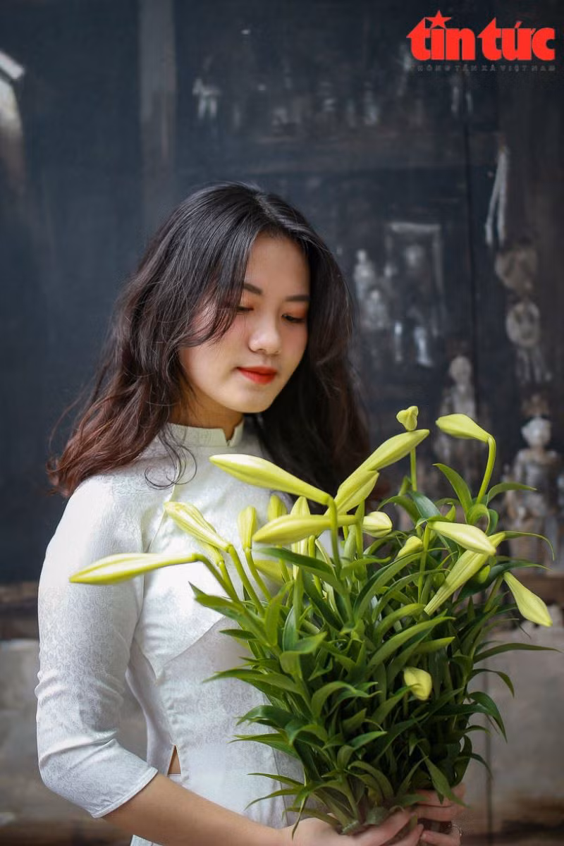Thiếu nữ Hà Thành bên hoa loa kèn.