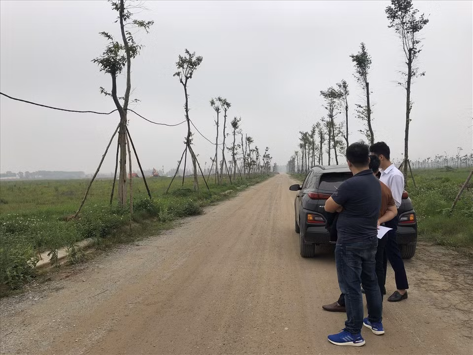 Xây dựng chế tài, tăng cường quản lý đối với hoạt động môi giới BĐS. Ảnh: Cao Nguyên