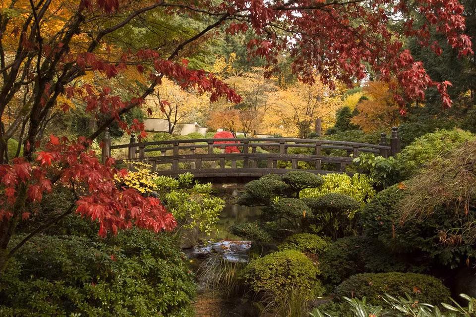 Vườn Nhật Portland, Oregon, Mỹ: Nhìn ra thành phố Portland, khu vườn này được xây dựng vào những năm 1950 sau Thế chiến II, như nhiều vườn Nhật khác ở Mỹ. Vườn mở cửa đón khách chính thức từ năm 1967 và tiếp tục được mở rộng, cải tạo. Ảnh: Thedailyworld.