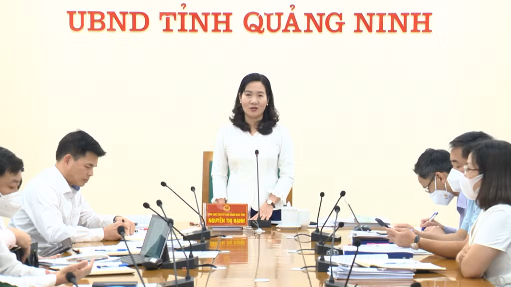 Đồng chí Nguyễn Thị Hạnh, Phó Chủ tịch UBND tỉnh phát biểu kết luận cuộc họp.