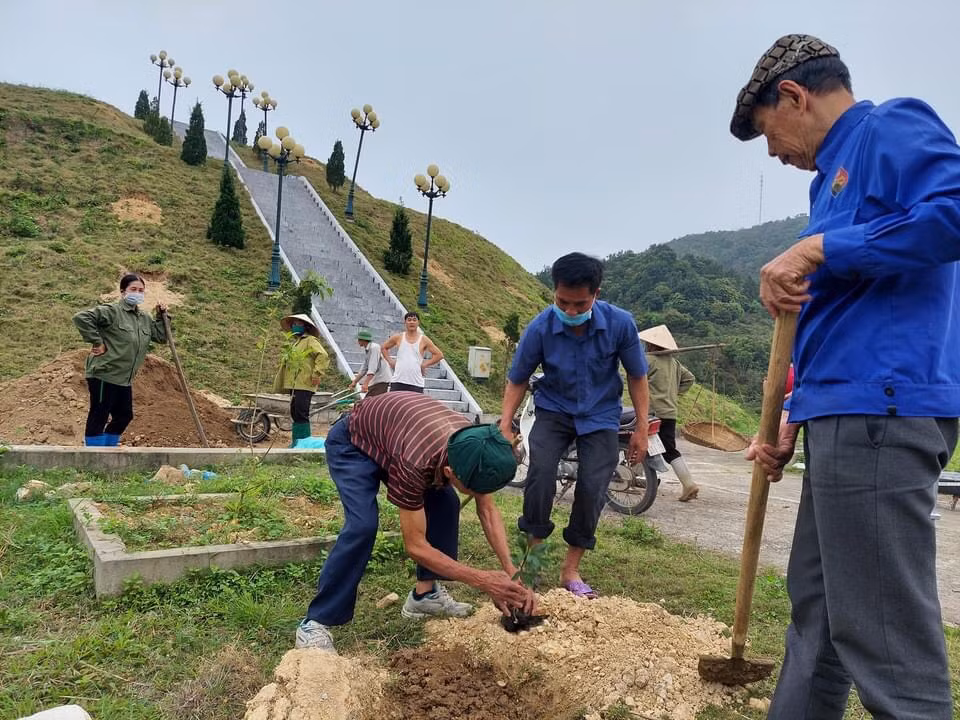 Người dân xã Cái Chiên trồng thanh mai tại khu vực Đồi Tròn trên đảo, tháng 3/2022.