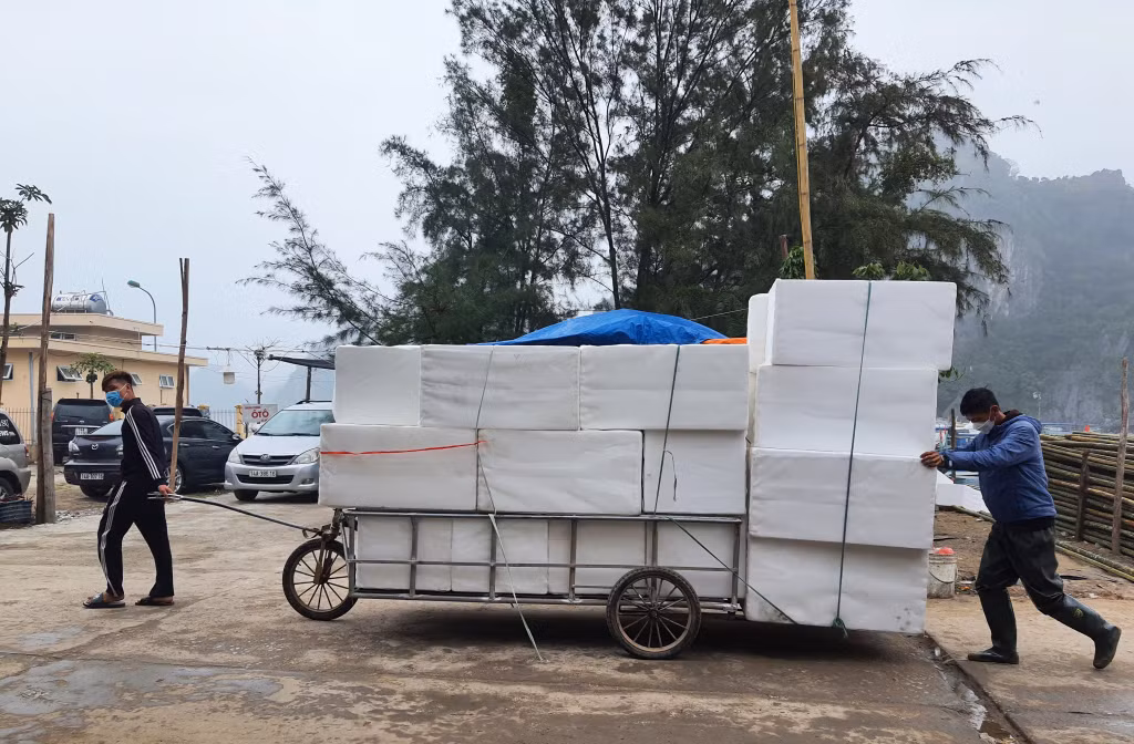 Nhiệm vụ chuyển đổi phao xốp sang phao nổi tại huyện Vân Đồn rất lớn, thế nhưng nhiều hộ dân tại huyện Vân Đồn vẫn sử dụng mới phao xốp để làm lồng bè nuôi cá biển. Ảnh chụp tại thời điểm tháng 3/2022.