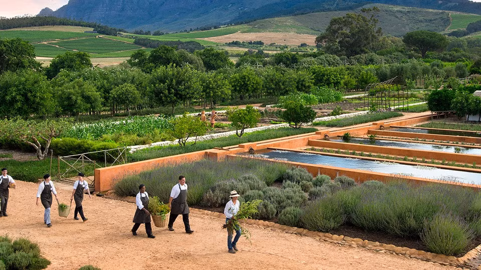 Babylonstoren, Mũi Tây, Nam Phi: Babylonstoren là một trong những trang trại cổ nhất Nam Phi, giờ trở thành khách sạn. Nơi đây có 15 "phòng vườn" nổi bật trên nền núi Simonsberg hùng vĩ, gồm mê cung, ao hoa súng, và hàng nghìn cây clivias nở vào mùa xuân. Ảnh: Insideguide.