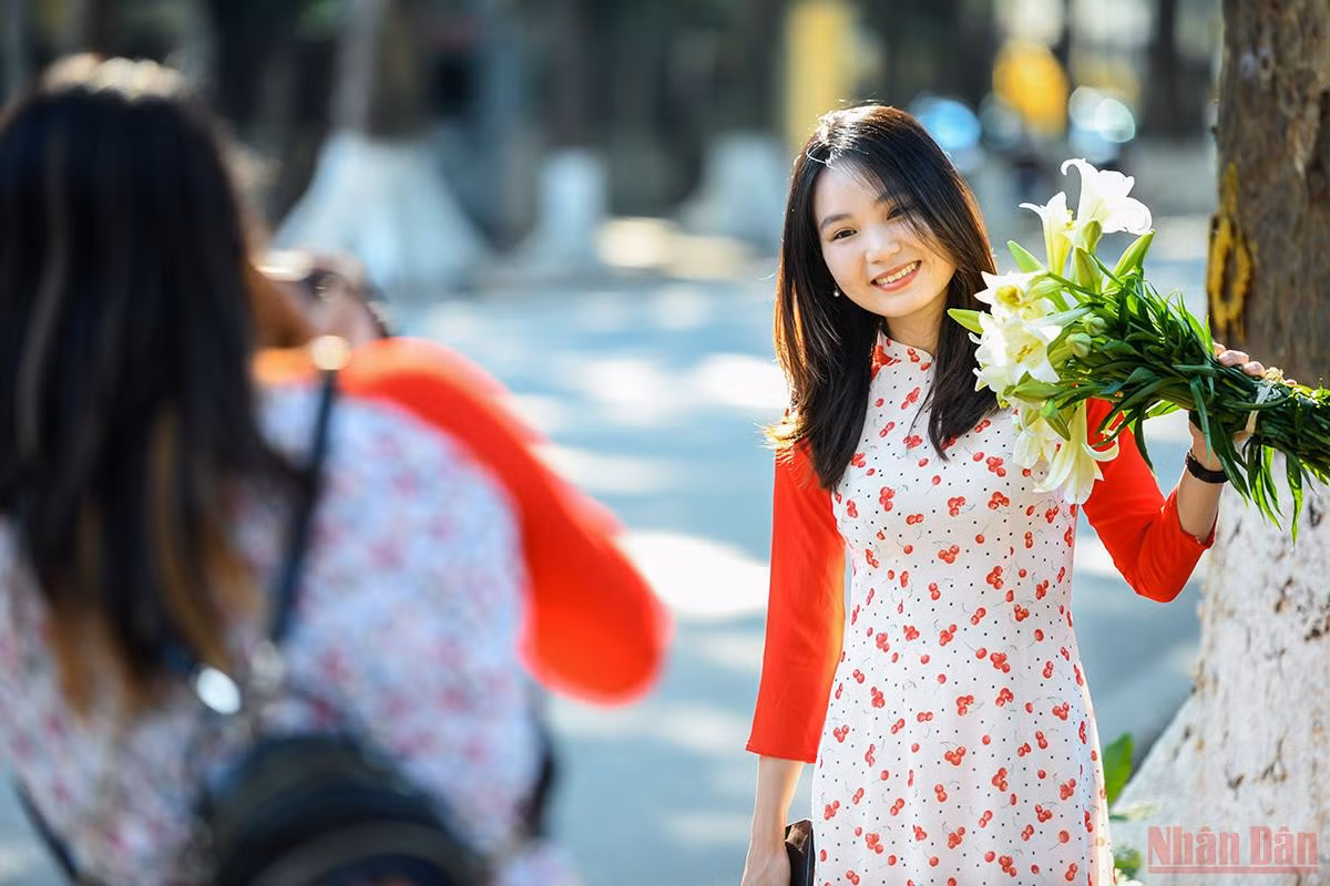 Tuy không rực rỡ, thơm ngát như nhiều loài hoa khác nhưng chính sắc trắng giản dị, tinh khiết của loa kèn lại khiến rất nhiều người yêu thích. (Ảnh: THÀNH ĐẠT)