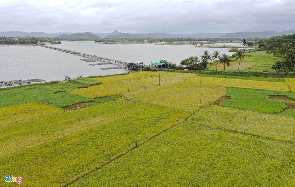 Cầu gỗ Ông Cọp bắc qua sông Phú Ngân, nối liền xã An Ninh Tây, huyện Tuy An với phường Xuân Đài, thị xã sông Cầu (Phú Yên). Từ lâu, chiếc cầu này nổi tiếng với vẻ đẹp độc đáo, trở thành điểm đến thú vị, hấp dẫn du khách đến tham quan, chụp ảnh lưu niệm.