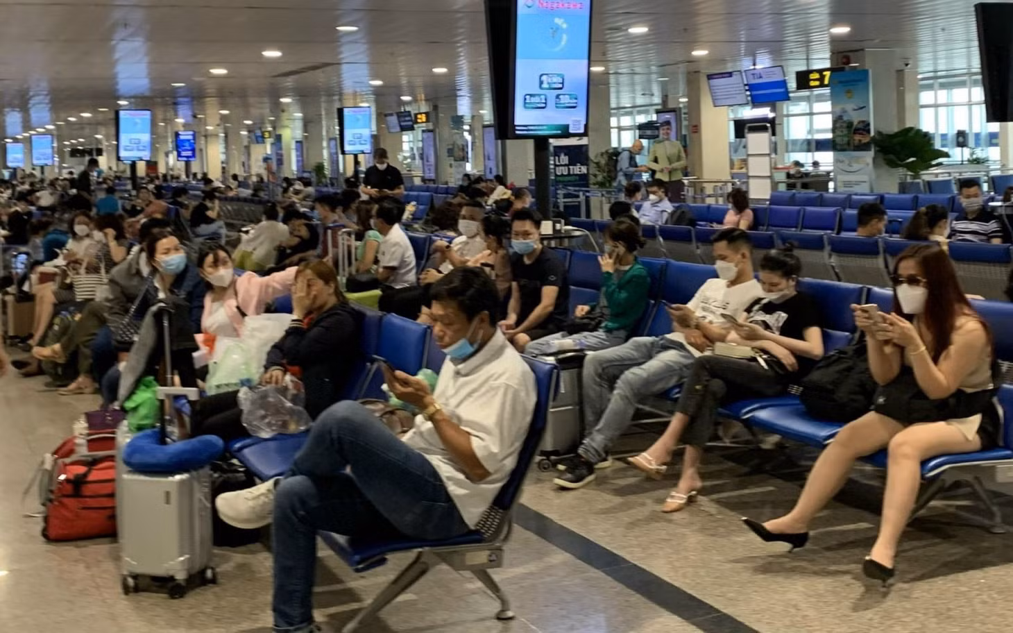 Lượng hành khách qua Sân bay Tân Sơn Nhất để đi du lịch tăng cao trong dịp nghỉ lễ Giỗ Tổ Hùng Vương.