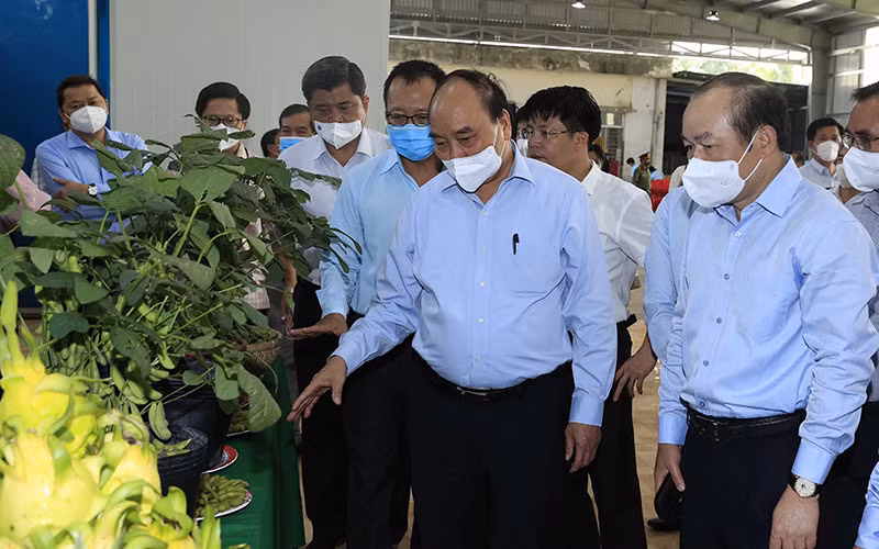 Chủ tịch nước Nguyễn Xuân Phúc thăm Hợp tác xã Mỹ Tịnh An, huyện Chợ Gạo,tỉnh Tiền Giang. (Ảnh TTXVN)