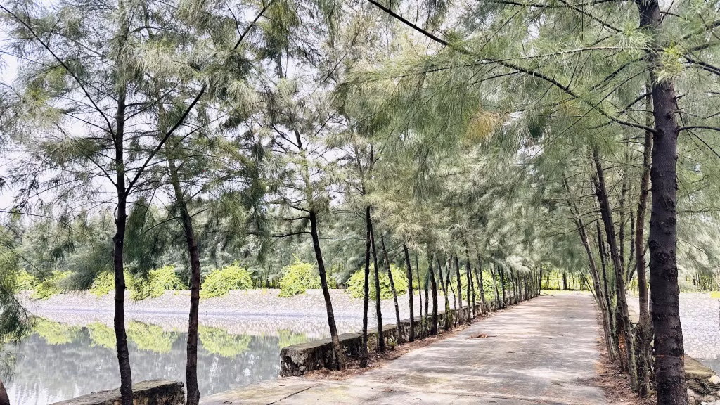 Khu vực hồ điều hòa cảng Điền Công của Công ty Kho vận Đá bạc –TKV. Ảnh: Hoàng Yến
