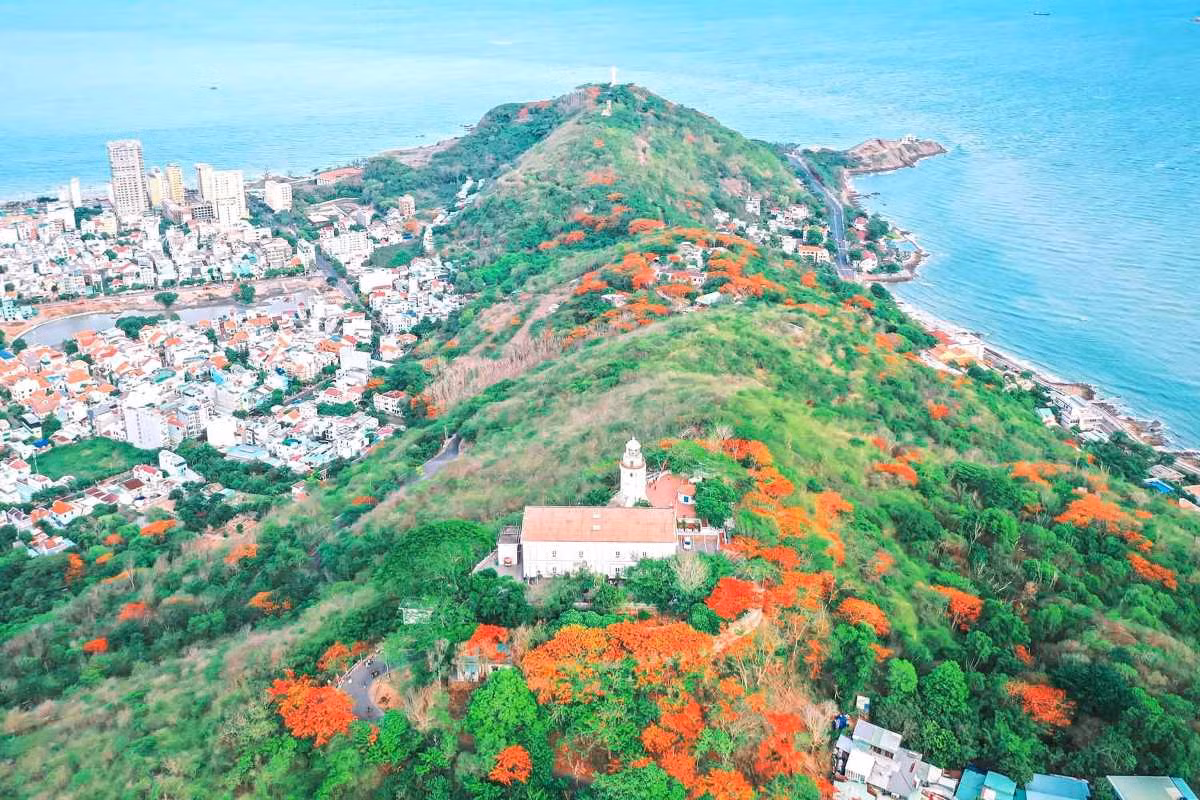 Trên núi Nhỏ (núi Tao Phùng), hoa phượng còn rực rỡ hơn. Khu vực ngọn Hải đăng được vây quanh bởi màu hoa đỏ thắm. Ảnh: Toàn Phạm