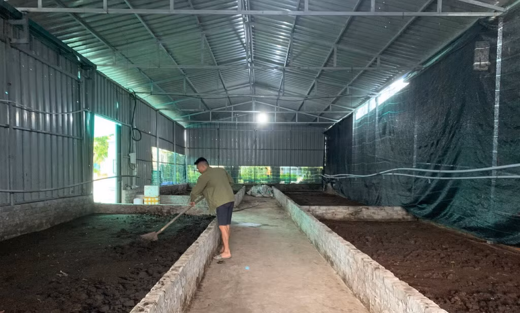 Trang trại nuôi trùn quế của HTX Nông nghiệp hữu cơ Hạ Long xanh (xã Cẩm La, TX Quảng Yên).
