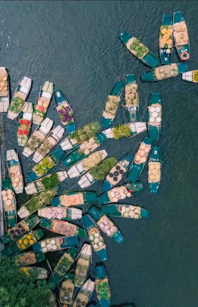 Bến thuyền Tam Cốc mùa này nhộn nhịp đón đưa khách du lịch trong và ngoài nước đi nghỉ hè ngắm lúa chín. Mùa lúa nơi đây sẽ còn kéo dài khoảng một tuần và gặt dần từng khu vực thay vì thu hoạch đồng loạt.