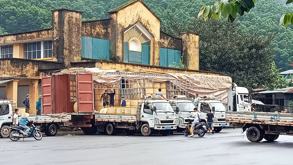 Bốc xếp hàng hóa XNK tại cửa khẩu Bắc Phong Sinh