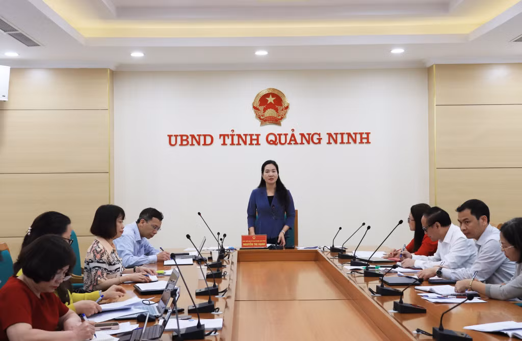 Đồng chí Nguyễn Thị Hạnh, Phó Chủ tịch UBND tỉnh phát biểu tại cuộc họp.