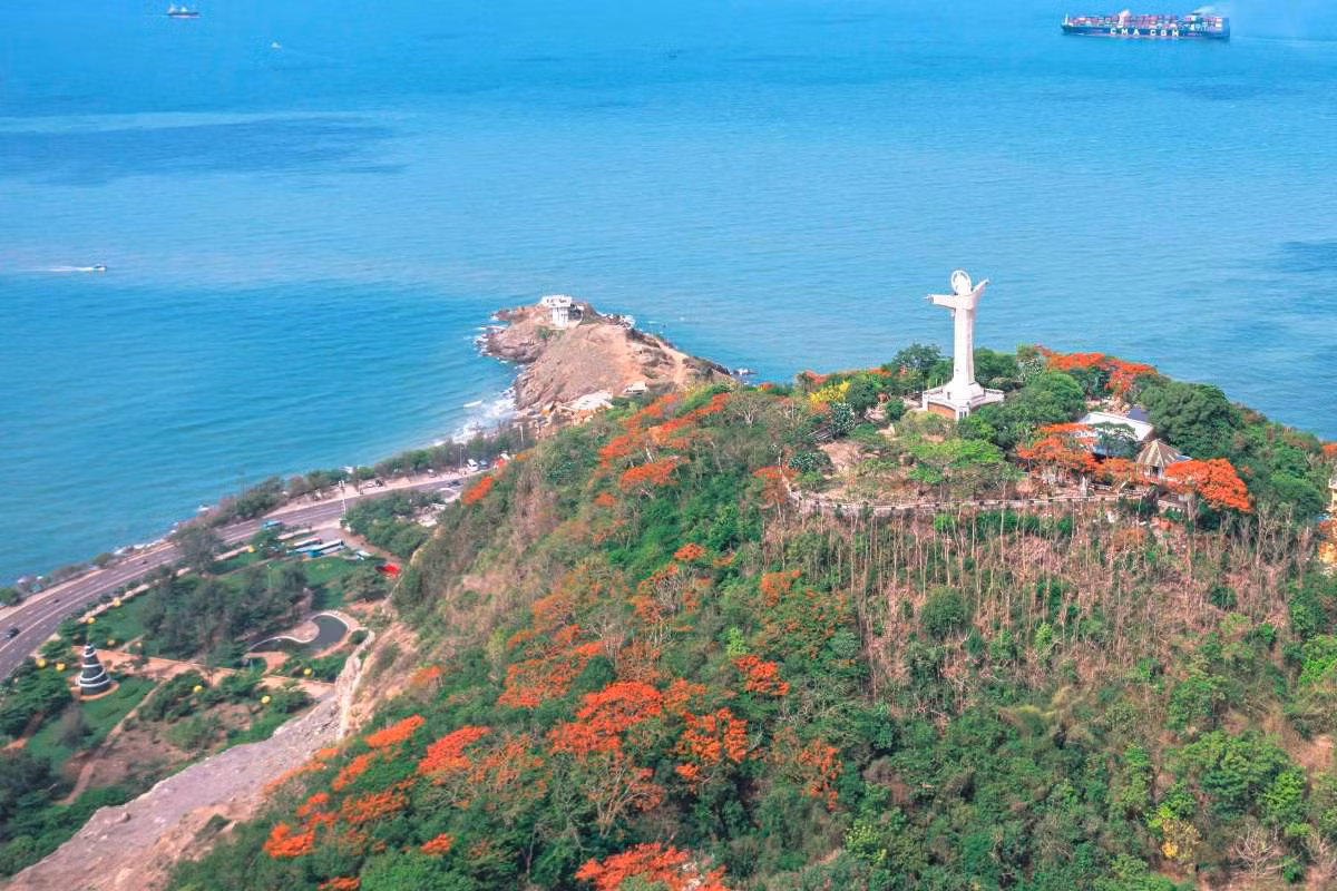 Nhiều nơi khác ở TP Vũng Tàu cũng có thể dễ dàng bắt gặp phượng nở rộ như khu vực Bãi Sau, Bãi Dâu, tượng đài liệt sĩ...