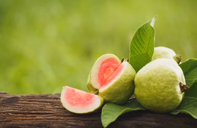 Quả ổi chứa hàm lượng vitamin C, chất chống oxy hóa.