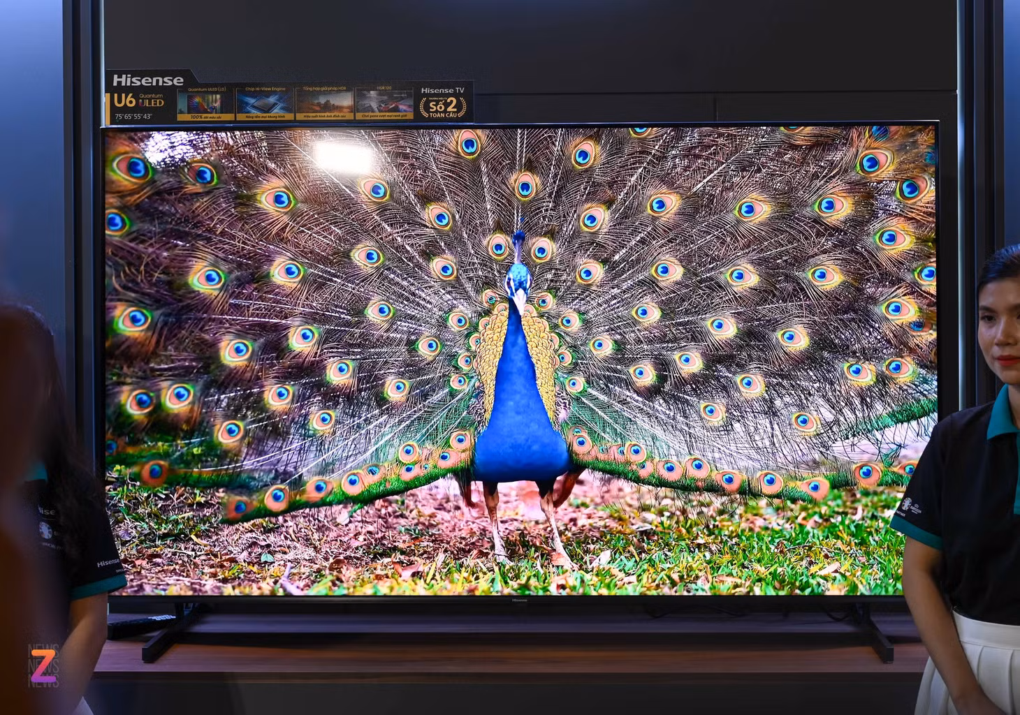 tv hisense anh 3