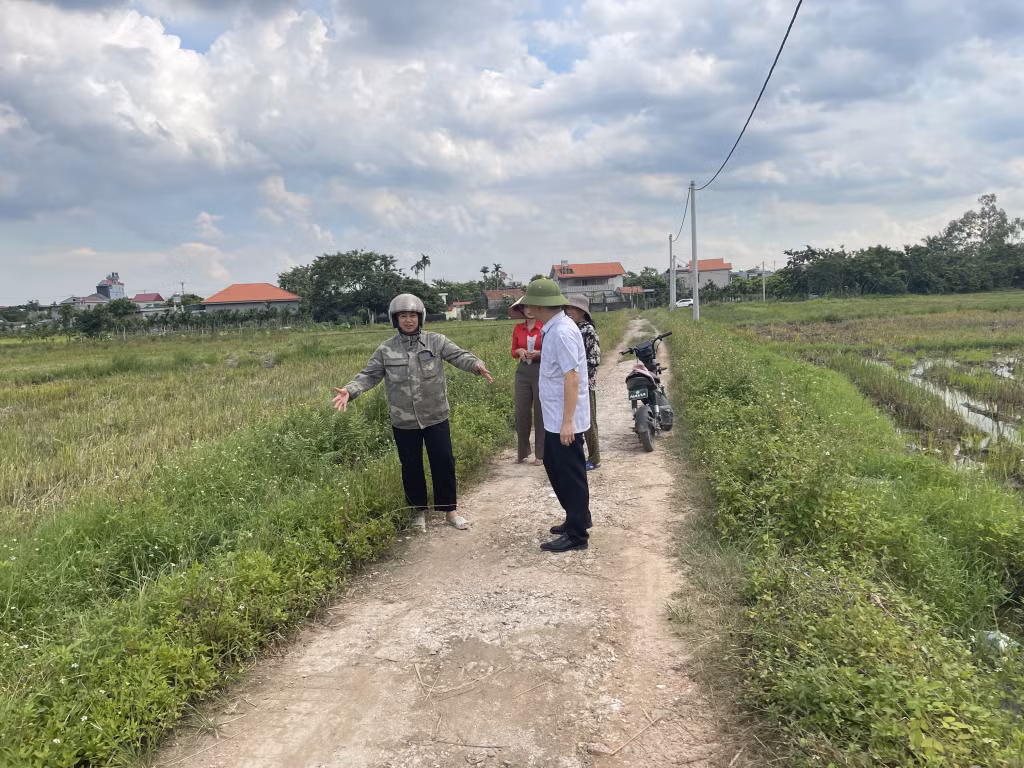 Tuyến mương đất tại khu Bí Trung 2 hiện cỏ mọc um tùm