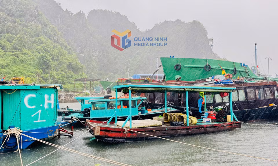 Tàu thuyền về nơi tránh trú bão tại khu vực Vũng Đục, phường Cẩm Phả.
