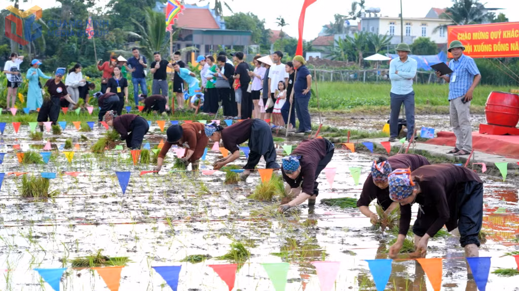Các đội thi cấy thể hiện kỹ năng, kỹ thuật và tinh thần thi đua sản xuất của cư dân nông nghiệp truyền thống.