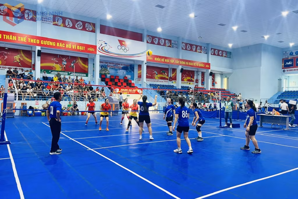 Các đội tham gia thi đấu giải bóng chuyền hơi nữ.