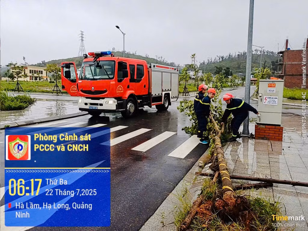 CBCS Phòng Cảnh sát PCCC&CNCH (Công an tỉnh) xử lý cây gãy, đổ trong khu đô thị Lideco, phường Hà Lầm vào sáng nay 22/7.