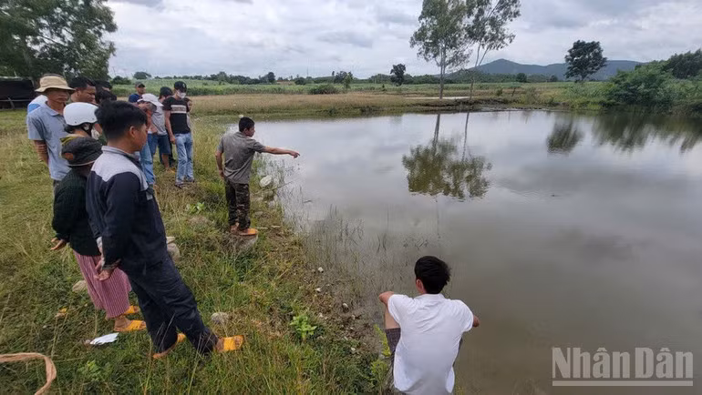 Khu vực ao sau nhà trọ, nơi cháu Khang tử vong thương tâm.