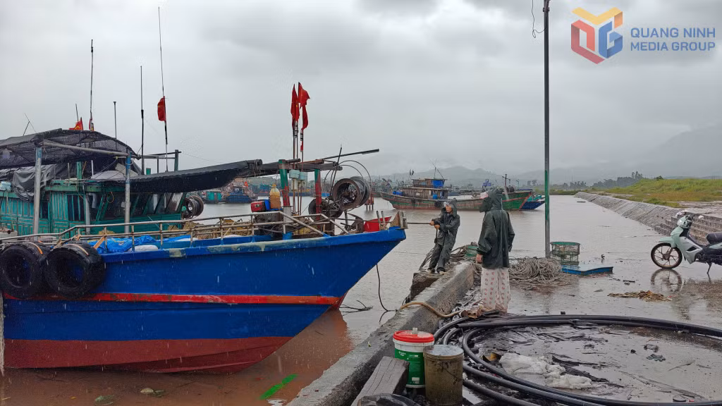 Ngư dân trên địa bàn xã Đường Hoa và một số địa bàn lân cận đưa tàu về neo đậu chằng buộc cẩn thận tại khu neo đậu tránh trú bão.