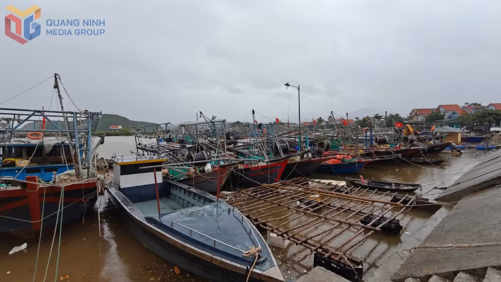 Tàu thuyền, phương tiện thuỷ neo đậu tránh trú bão tại khu neo đậu tránh trú bão cho tàu thuyền tại bến Đại Bình (xã Đầm Hà).