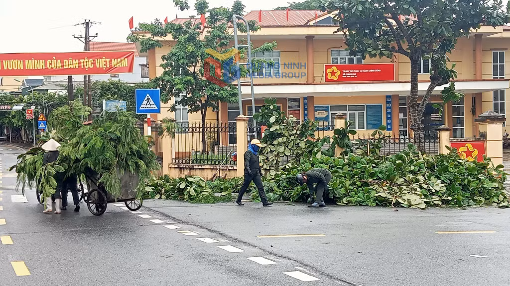 Công nhân dọn vệ sinh môi trường thu gom cành cây gãy tại xã Quảng Hà