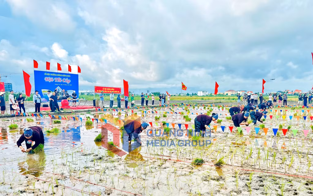 Hội thi cấy tổ chức tại khu vực ruộng trước cửa đình Cốc, có sự tham gia của đại diện các phường (7-2025). Ảnh: Chu Linh