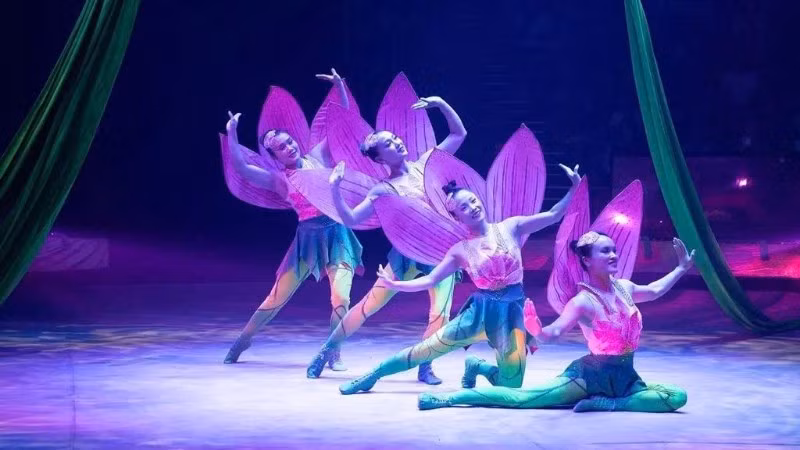 Tiết mục “Đu sen” được đánh giá cao bởi thể hiện được kỹ thuật điêu luyện và cách dàn dựng hình ảnh hoa sen. (Ảnh: LĐXVN)