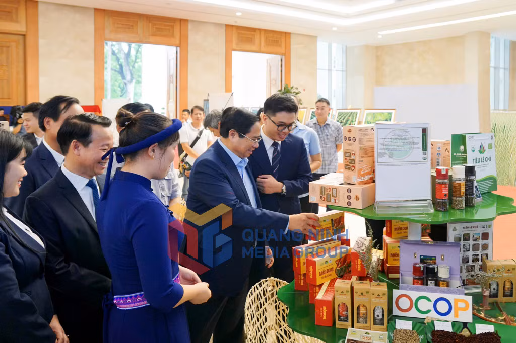 Miến dong Bình Liêu của Công ty CP Thương mại và Dịch vụ Bình Liêu được trưng bày tại Hội nghị toàn quốc tổng kết Chương trình mục tiêu quốc gia xây dựng Nông thôn mới giai đoạn 2021-2025 do Thủ tướng Phạm Minh Chính chủ trì. Ảnh: Đơn vị cung cấp