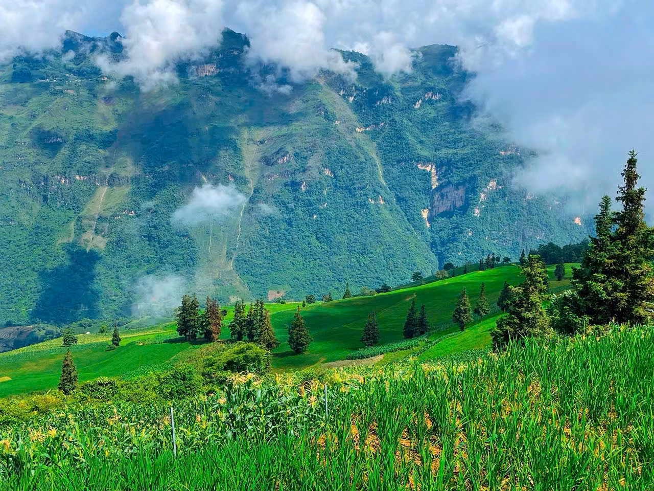Tại đây, du khách có thể cắm trại, trekking, đạp xe hoặc chụp ảnh. Bên cạnh đó, nhiều hoạt động văn hóa cộng đồng như dệt vải, trồng trọt, chăn nuôi hay ẩm thực truyền thống của người H’Mông cũng là điểm nhấn trong hành trình trải nghiệm. Ảnh: Đức Đen