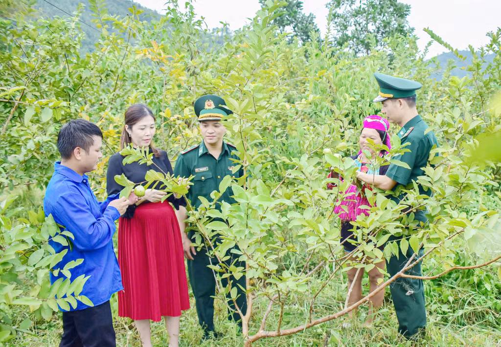 Lực lượng BĐBP thường xuyên xuống địa bàn động viên, hướng dẫn người dân chăm sóc cây trồng, vươn lên phát triển kinh tế. 